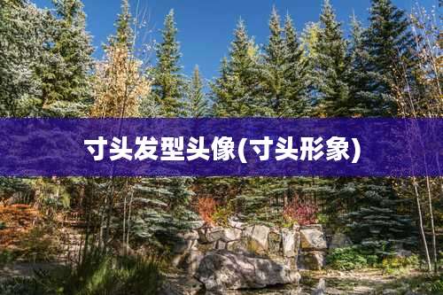 寸头发型头像(寸头形象)