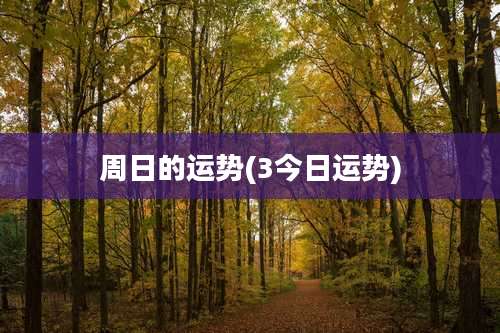 周日的运势(3今日运势)
