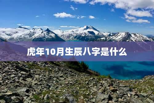 虎年10月生辰八字是什么