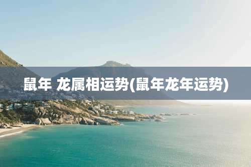 鼠年 龙属相运势(鼠年龙年运势)