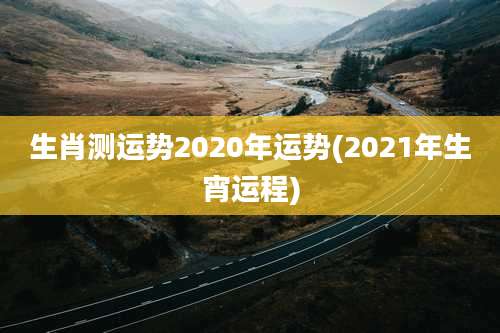 生肖测运势2020年运势(2021年生宵运程)
