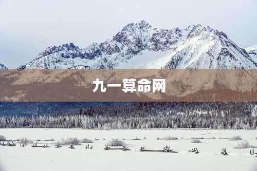 九一算命网