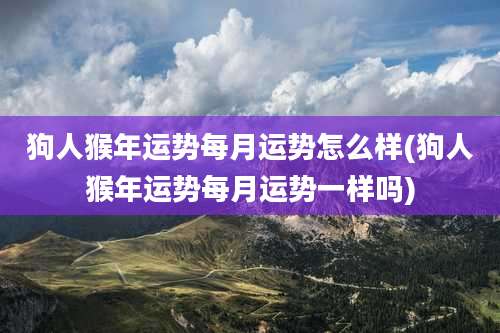 狗人猴年运势每月运势怎么样(狗人猴年运势每月运势一样吗)