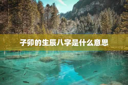 子卯的生辰八字是什么意思