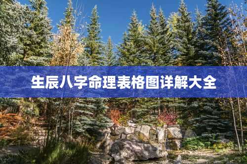 生辰八字命理表格图详解大全