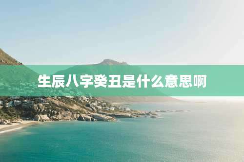 生辰八字癸丑是什么意思啊