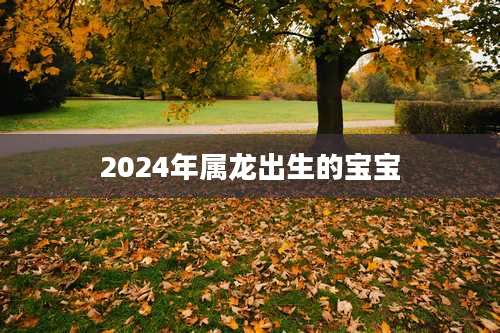 2024年属龙出生的宝宝