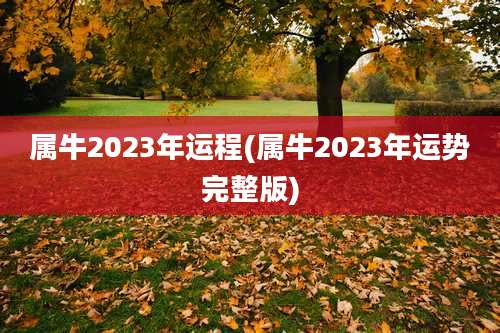 属牛2023年运程(属牛2023年运势完整版)