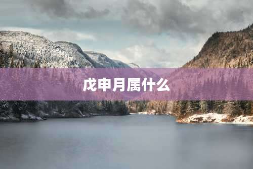 戊申月属什么