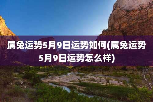属兔运势5月9日运势如何(属兔运势5月9日运势怎么样)