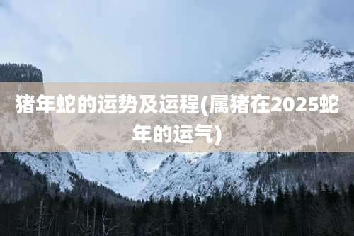 猪年蛇的运势及运程(属猪在2025蛇年的运气)