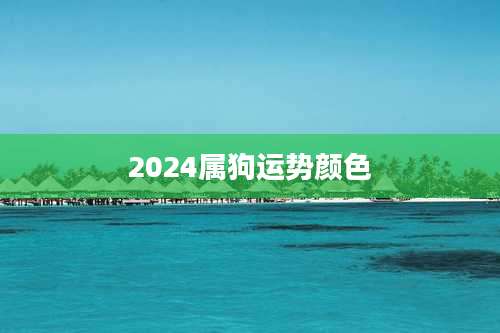 2024属狗运势颜色
