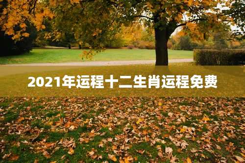 2021年运程十二生肖运程免费