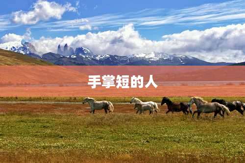 手掌短的人