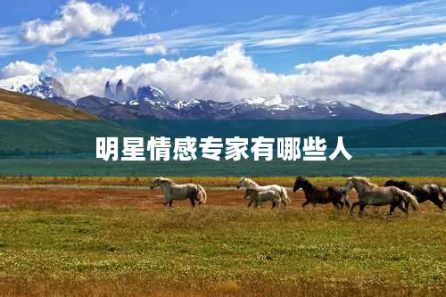 明星情感专家有哪些人
