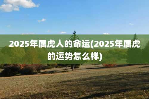 2025年属虎人的命运(2025年属虎的运势怎么样)