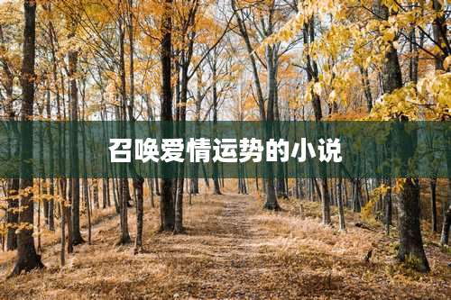 召唤爱情运势的小说