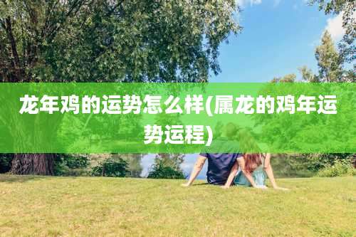 龙年鸡的运势怎么样(属龙的鸡年运势运程)