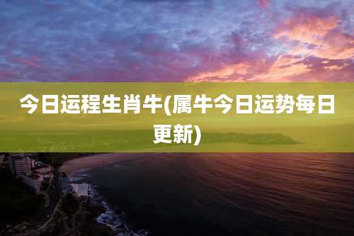 今日运程生肖牛(属牛今日运势每日更新)