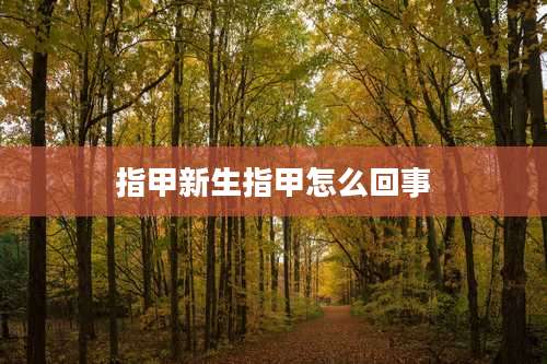 指甲新生指甲怎么回事