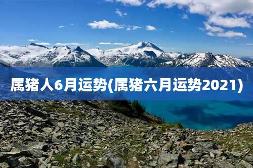 属猪人6月运势(属猪六月运势2021)
