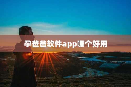 孕爸爸软件app哪个好用