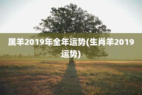 属羊2019年全年运势(生肖羊2019运势)