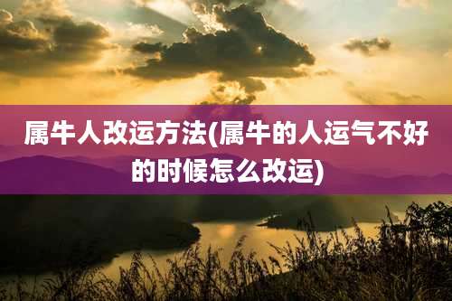属牛人改运方法(属牛的人运气不好的时候怎么改运)