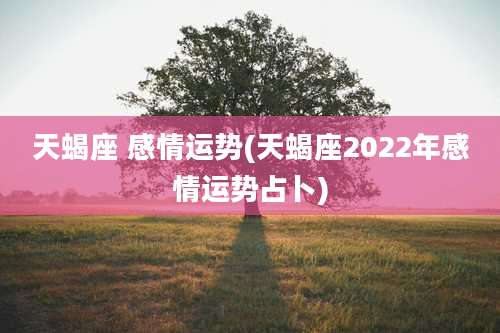 天蝎座 感情运势(天蝎座2022年感情运势占卜)