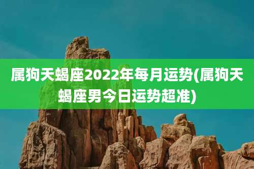 属狗天蝎座2022年每月运势(属狗天蝎座男今日运势超准)