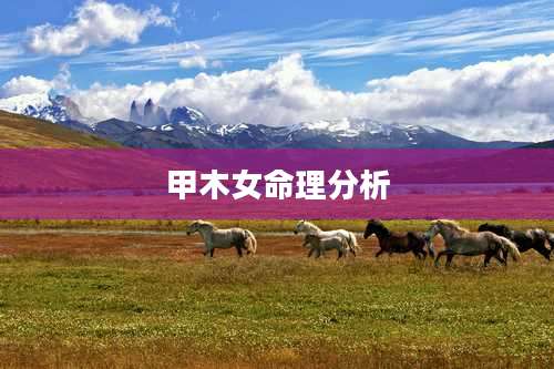 甲木女命理分析