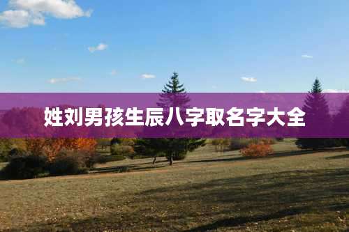 姓刘男孩生辰八字取名字大全