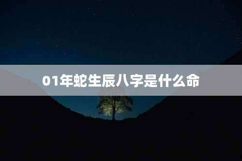 01年蛇生辰八字是什么命