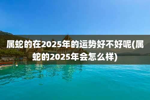 属蛇的在2025年的运势好不好呢(属蛇的2025年会怎么样)