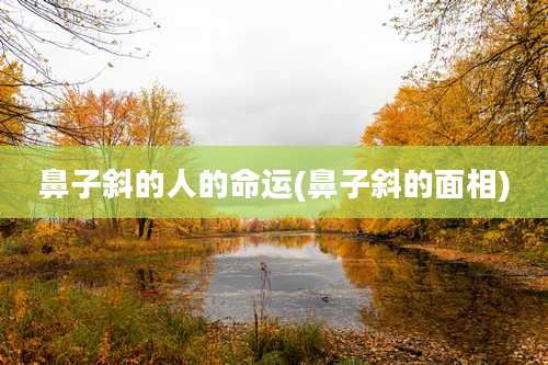 鼻子斜的人的命运(鼻子斜的面相)