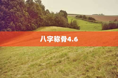 八字称骨4.6