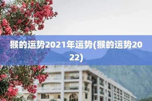 猴的运势2021年运势(猴的运势2022)