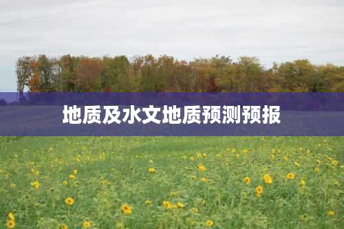 地质及水文地质预测预报