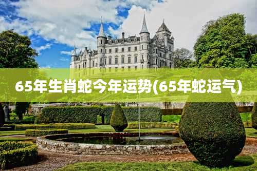 65年生肖蛇今年运势(65年蛇运气)
