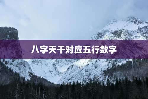 八字天干对应五行数字