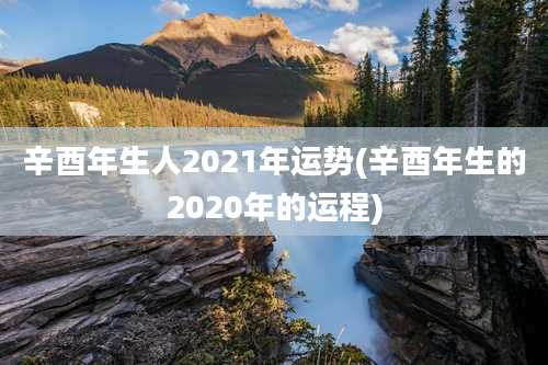 辛酉年生人2021年运势(辛酉年生的2020年的运程)