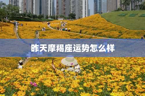 昨天摩羯座运势怎么样