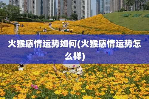 火猴感情运势如何(火猴感情运势怎么样)