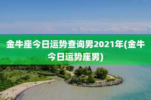 金牛座今日运势查询男2021年(金牛今日运势座男)