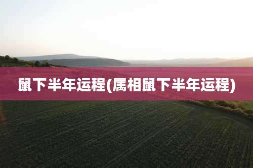 鼠下半年运程(属相鼠下半年运程)