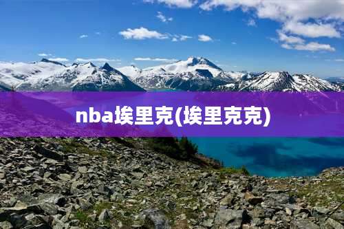 nba埃里克(埃里克克)