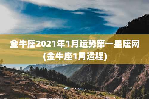 金牛座2021年1月运势第一星座网(金牛座1月运程)
