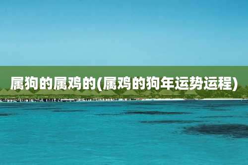 属狗的属鸡的(属鸡的狗年运势运程)