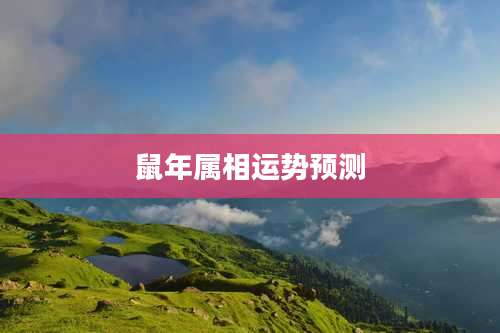 鼠年属相运势预测