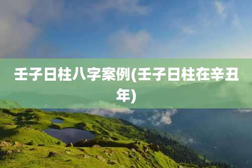 壬子日柱八字案例(壬子日柱在辛丑年)
